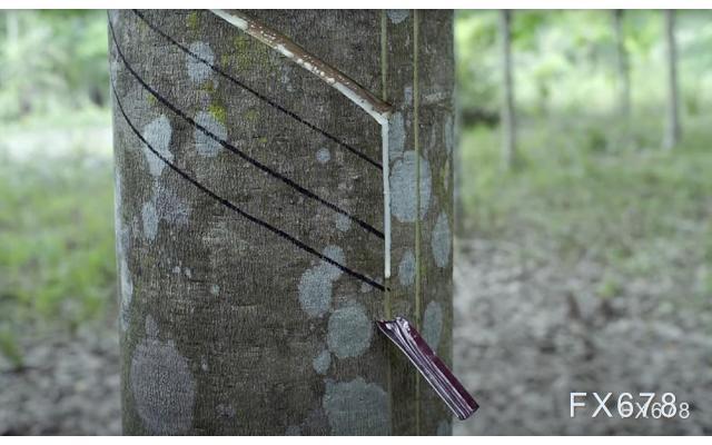 图片点击可在新窗口打开查看